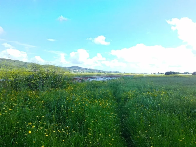 Terreno Agricola ou Rústico para Venda em Almargem do Bispo, Pêro Pinheiro e Montelavar Foto 1