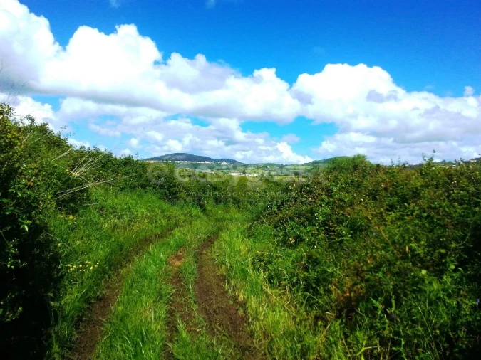 Terreno Agricola ou Rústico para Venda em Almargem do Bispo, Pêro Pinheiro e Montelavar Foto 5