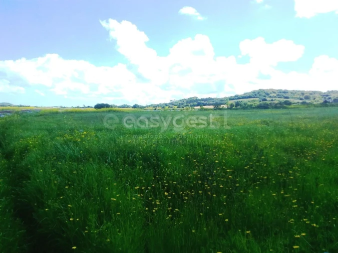 Terreno Agricola ou Rústico para Venda em Almargem do Bispo, Pêro Pinheiro e Montelavar Foto 7