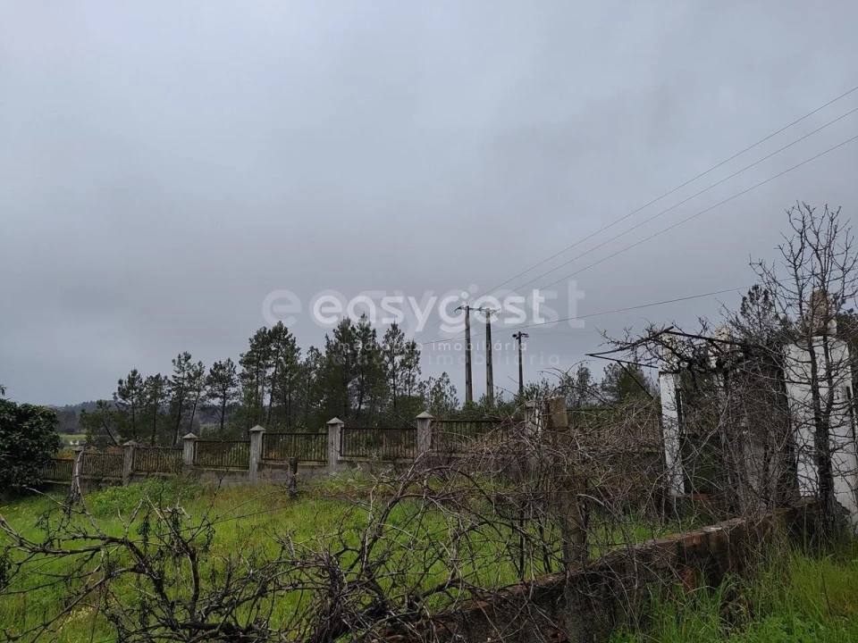 Moradia T5 para Venda em Sarzedas Foto 2