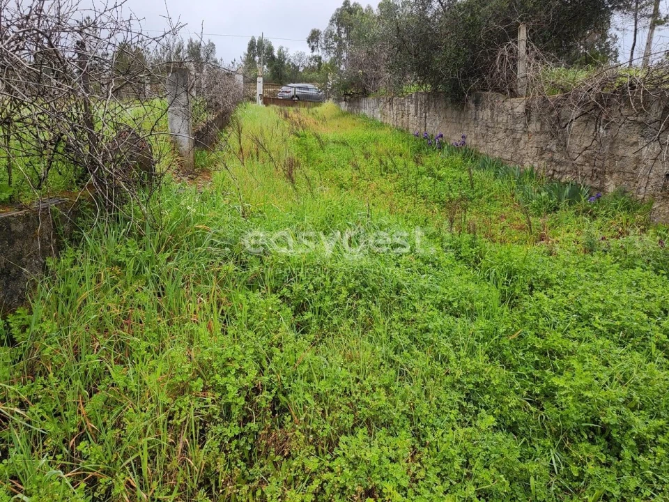 Moradia T5 para Venda em Sarzedas Foto 3