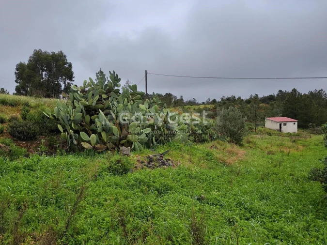 Moradia T5 para Venda em Sarzedas Foto 4