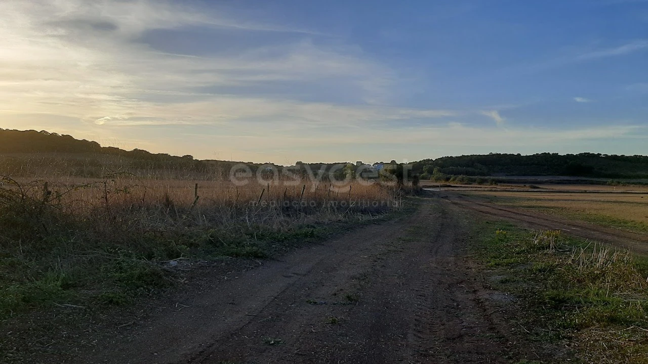 Terreno Agricola ou Rústico para Venda em São João das Lampas e Terrugem Foto 11