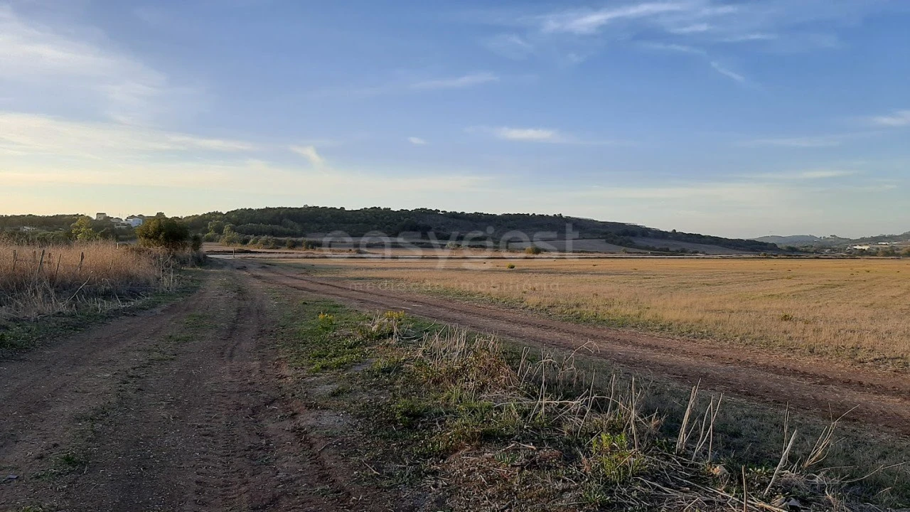 Terreno Agricola ou Rústico para Venda em São João das Lampas e Terrugem Foto 12