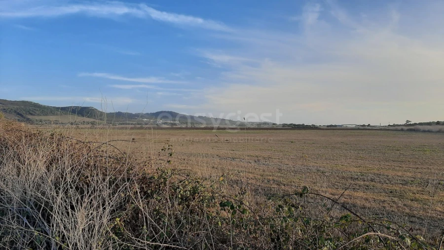 Terreno Agricola ou Rústico para Venda em São João das Lampas e Terrugem Foto 1