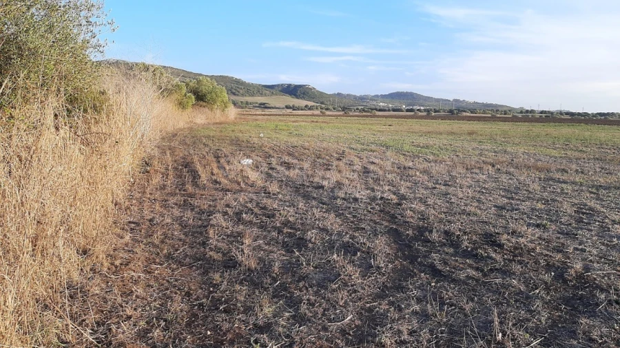 Terreno Agricola ou Rústico para Venda em São João das Lampas e Terrugem Foto 3