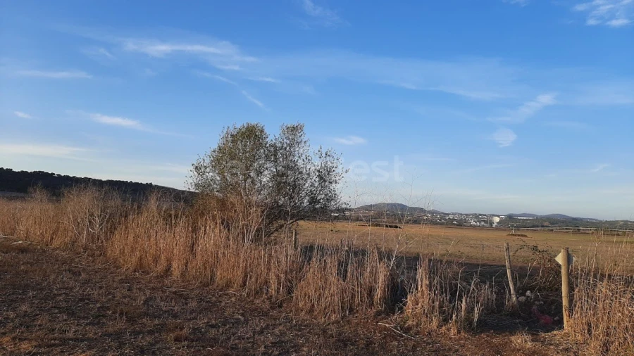 Terreno Agricola ou Rústico para Venda em São João das Lampas e Terrugem Foto 4