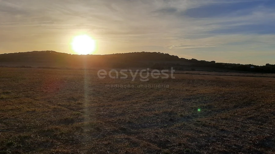 Terreno Agricola ou Rústico para Venda em São João das Lampas e Terrugem Foto 6