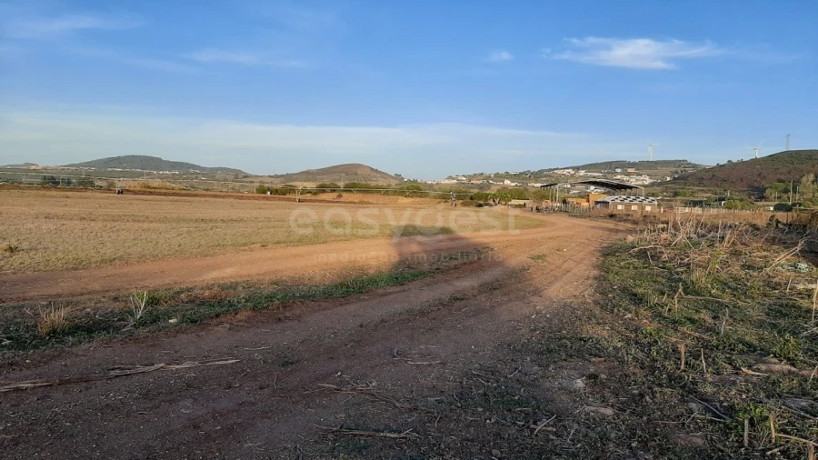 Terreno Agricola ou Rústico para Venda em São João das Lampas e Terrugem Foto 9