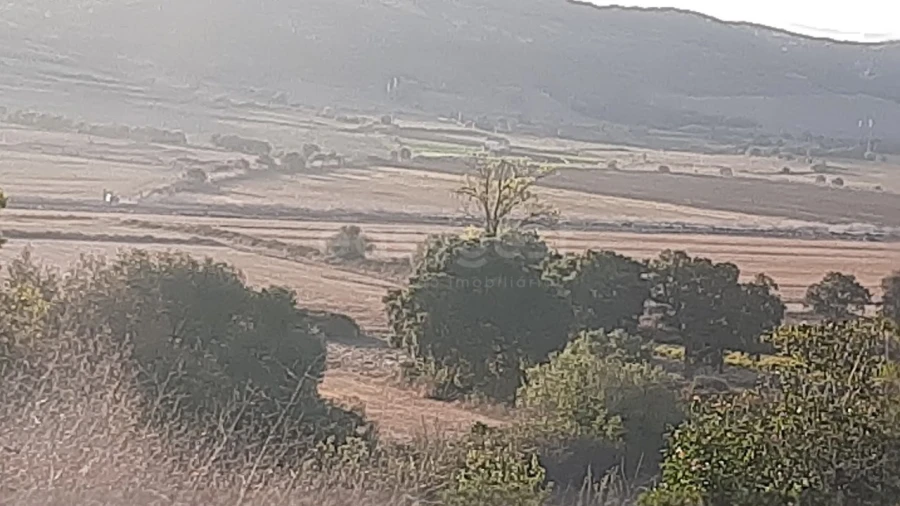 Terreno Agricola ou Rústico para Venda em São João das Lampas e Terrugem Foto 14