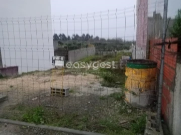 Terreno para Venda em Castelo Branco