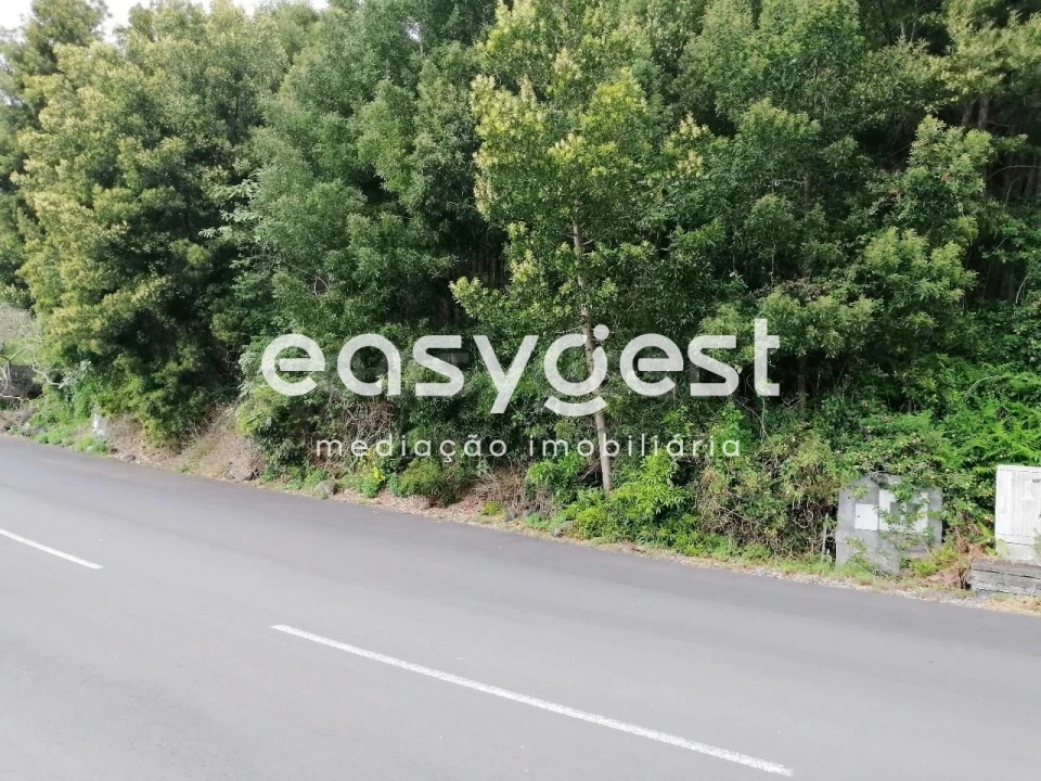 Terreno para Venda em Terra Chã Foto 5