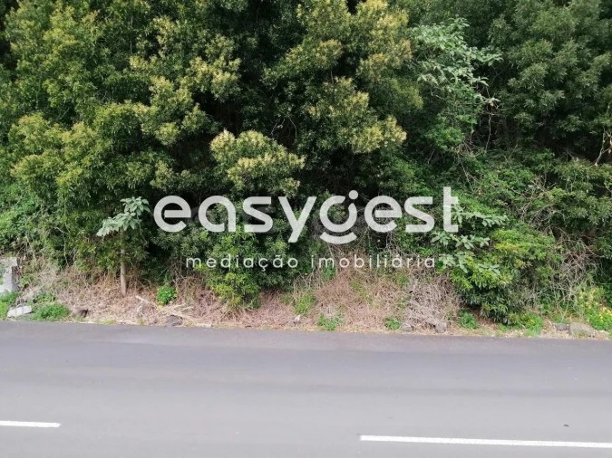 Terreno para Venda em Terra Chã Foto 2