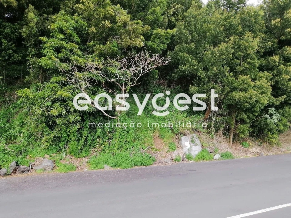 Terreno para Venda em Terra Chã Foto 2