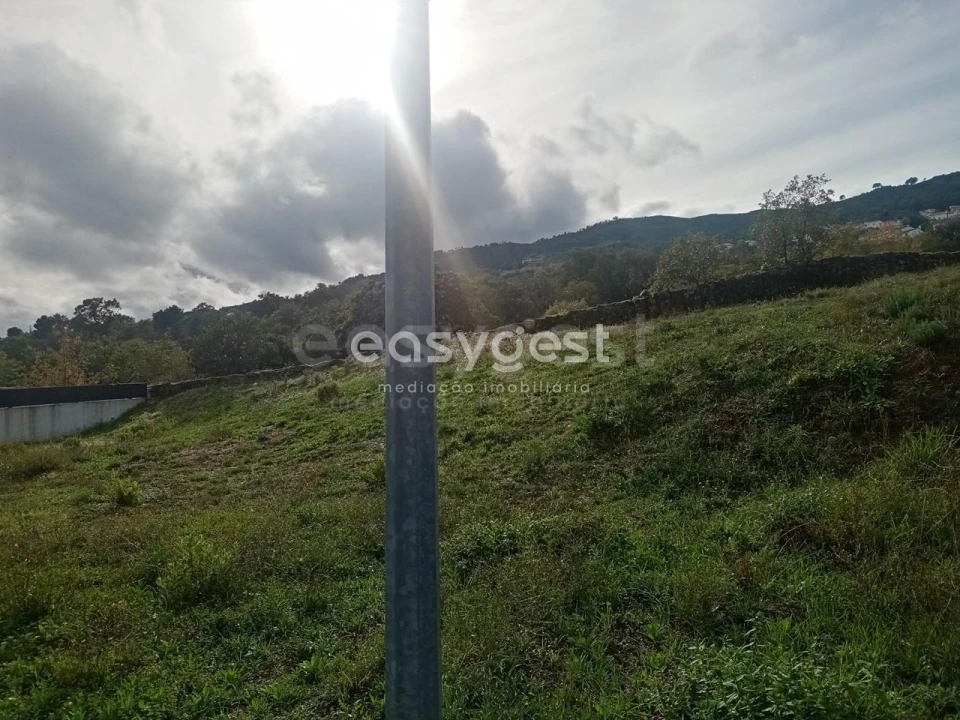 Terreno para Venda em Boidobra Foto 6
