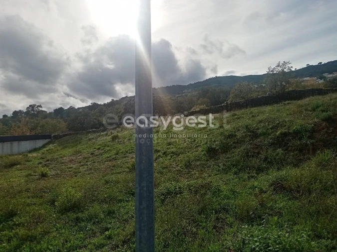 Terreno para Venda em Boidobra Foto 6
