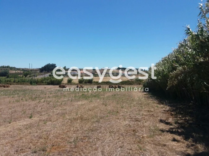 Terreno Agricola ou Rústico para Venda em São João das Lampas e Terrugem Foto 2