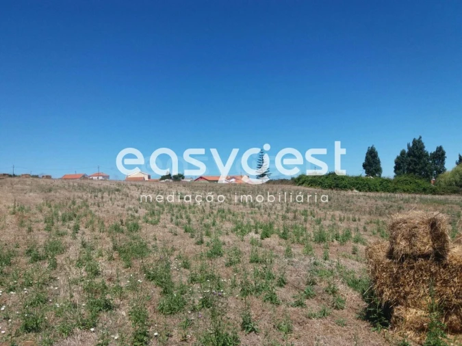 Terreno Agricola ou Rústico para Venda em São João das Lampas e Terrugem Foto 4