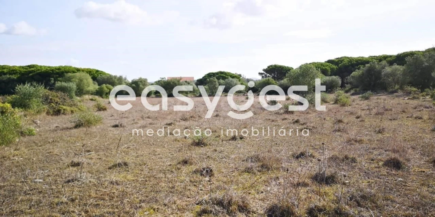Terreno para Venda em Santa Maria e São Miguel, São Martinho, São Pedro Penaferrim Foto 6