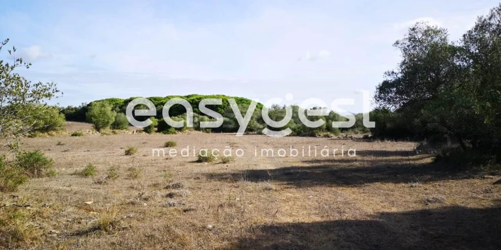 Terreno para Venda em Santa Maria e São Miguel, São Martinho, São Pedro Penaferrim Foto 2