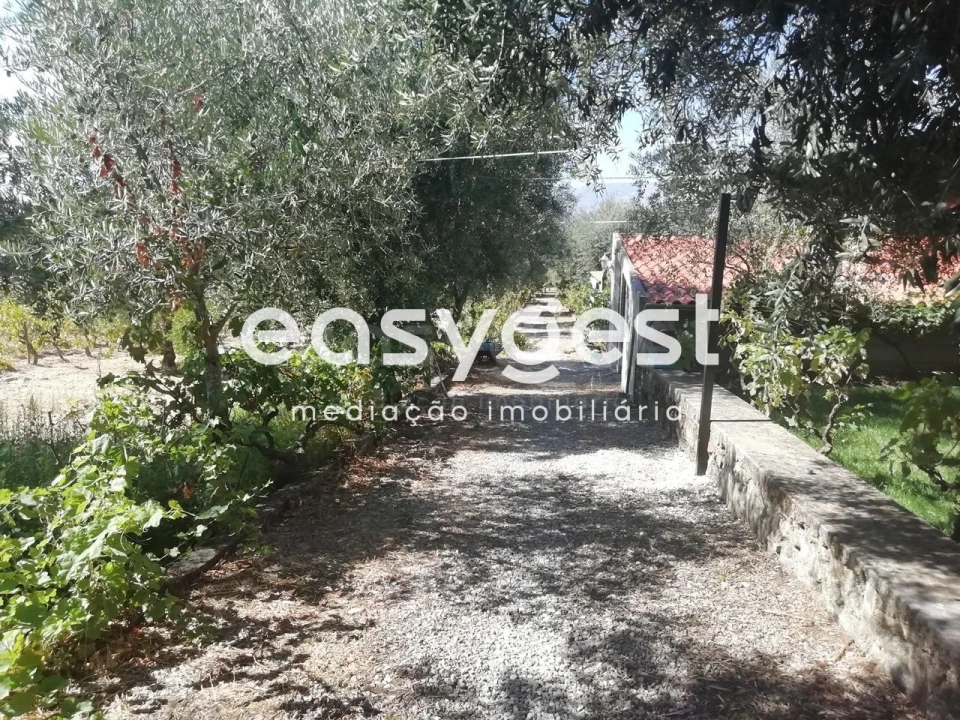 Negócio para Venda em Fundão, Valverde, Donas, A. Joanes, A. Nova Cabo Foto 26