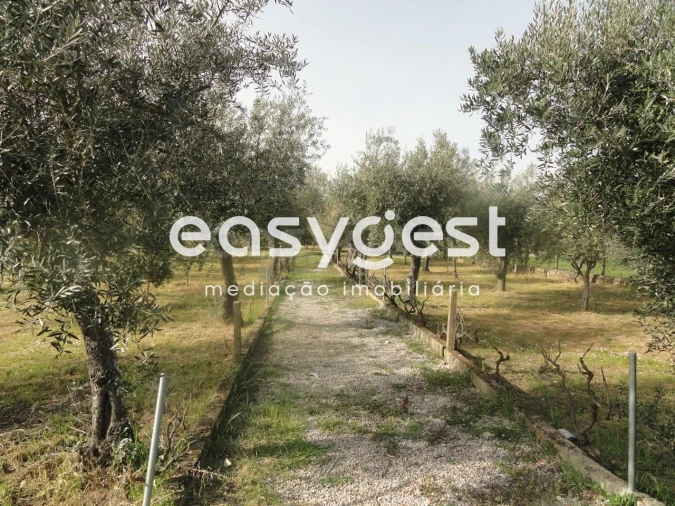 Negócio para Venda em Fundão, Valverde, Donas, A. Joanes, A. Nova Cabo Foto 20