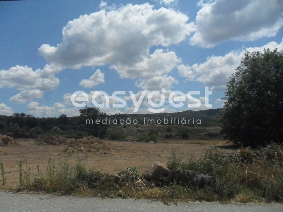 Terreno Misto para Venda em Peraboa Foto 2