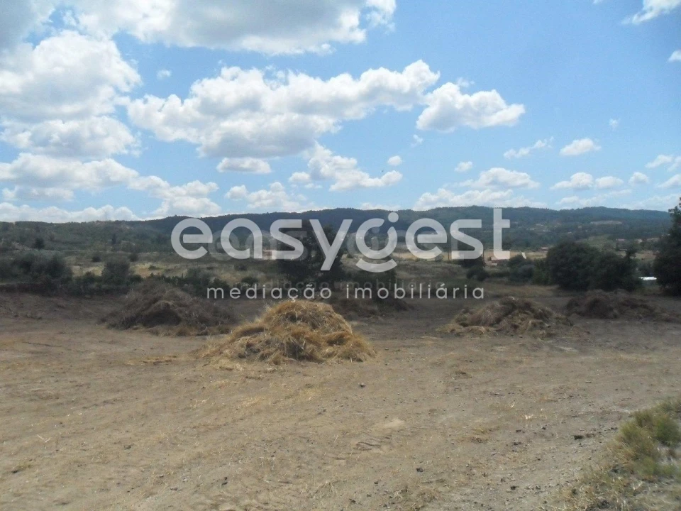 Terreno Misto para Venda em Peraboa Foto 4