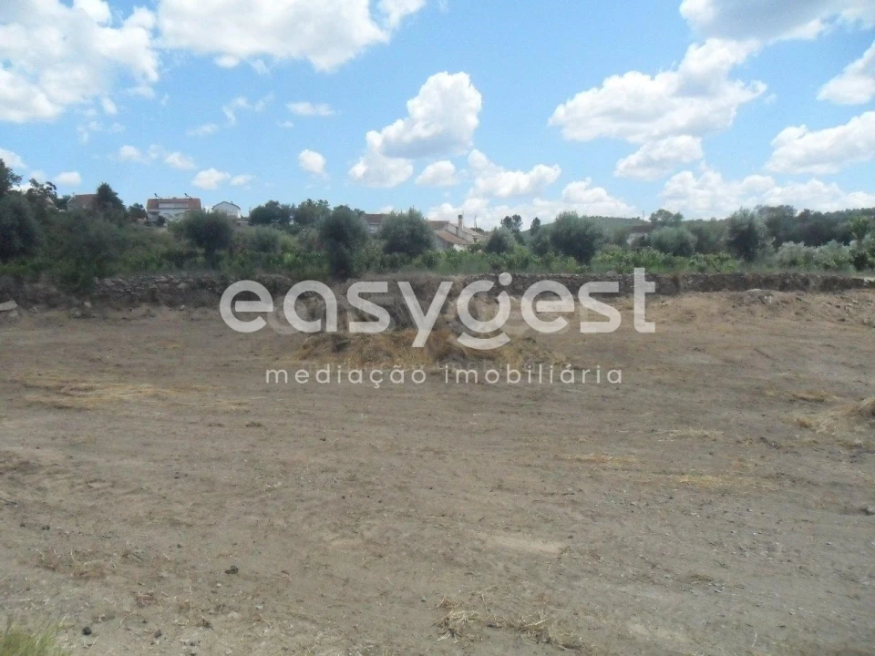 Terreno Misto para Venda em Peraboa Foto 5