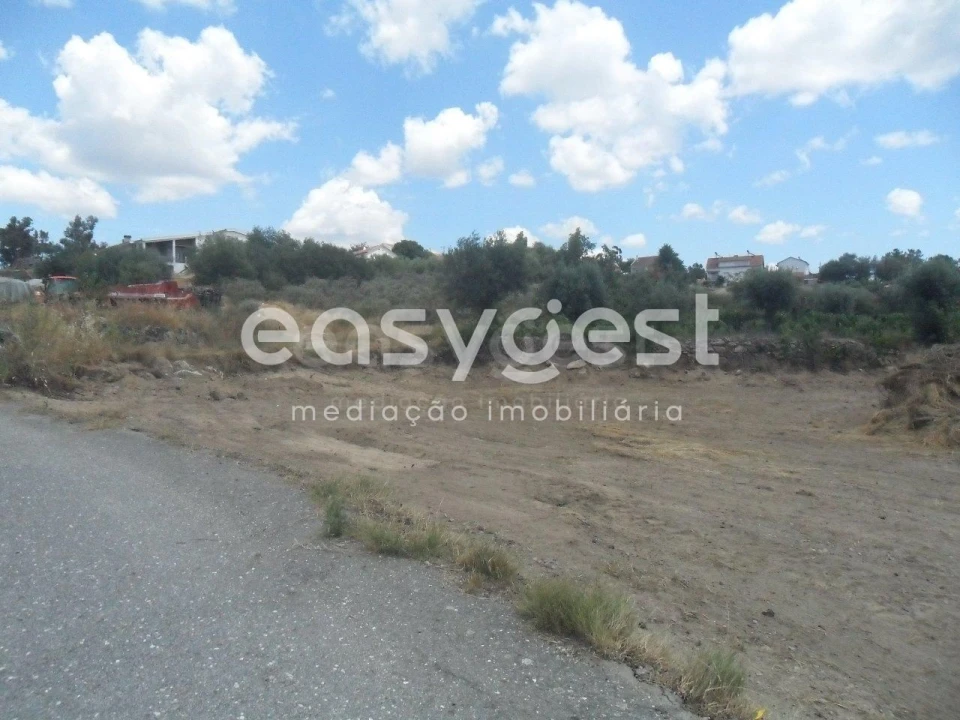 Terreno Misto para Venda em Peraboa Foto 6