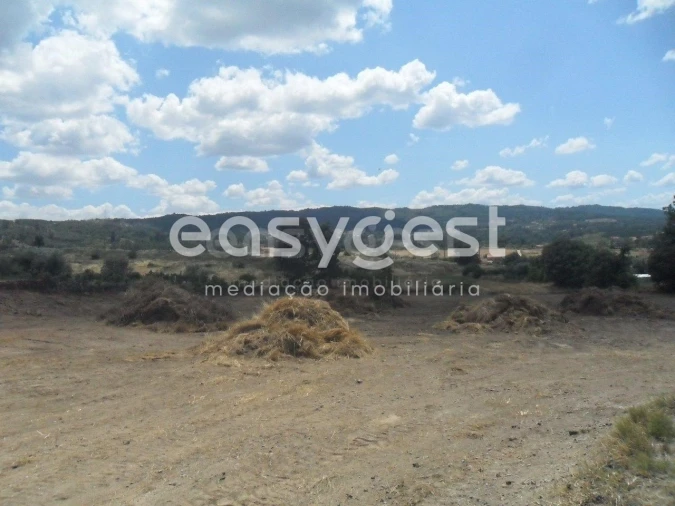 Terreno Misto para Venda em Peraboa Foto 4