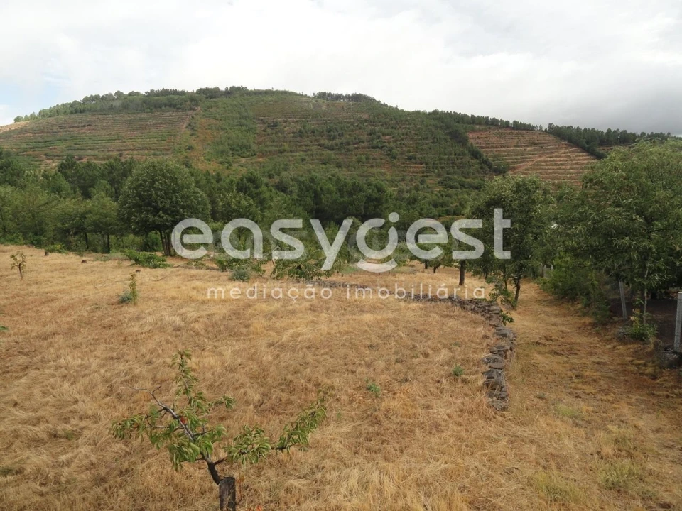 Terreno Agricola ou Rústico para Venda em Alcongosta Foto 3