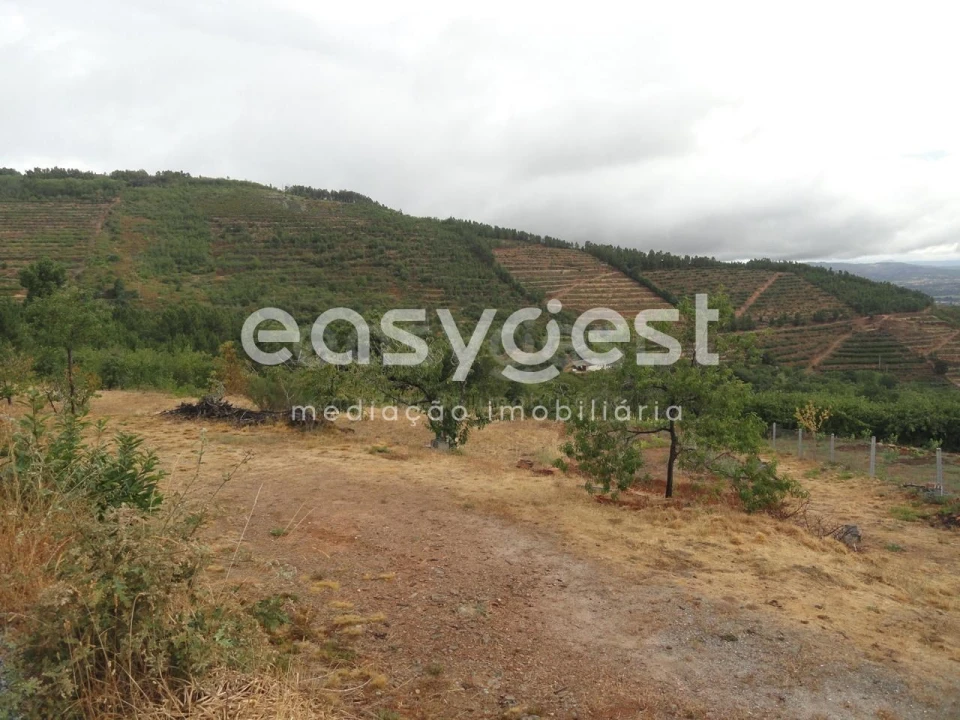 Terreno Agricola ou Rústico para Venda em Alcongosta Foto 7