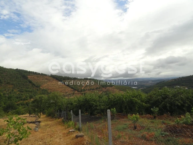 Terreno Agricola ou Rústico para Venda em Alcongosta