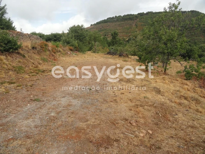 Terreno Agricola ou Rústico para Venda em Alcongosta Foto 2