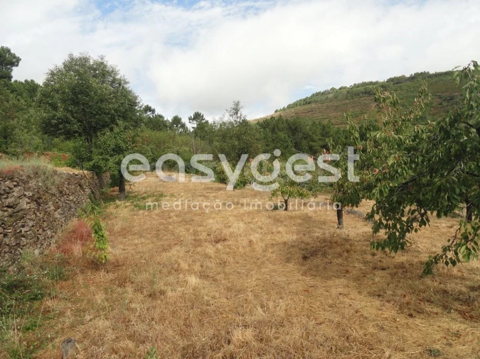 Terreno Agricola ou Rústico para Venda em Alcongosta Foto 4