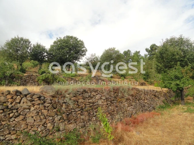 Terreno Agricola ou Rústico para Venda em Alcongosta Foto 5
