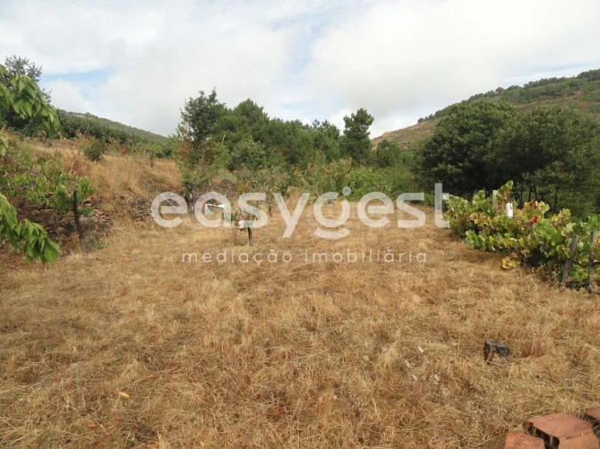 Terreno Agricola ou Rústico para Venda em Alcongosta Foto 6