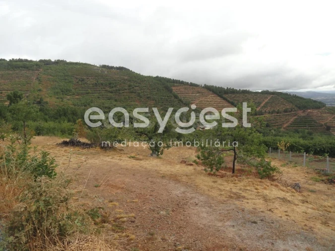 Terreno Agricola ou Rústico para Venda em Alcongosta Foto 7