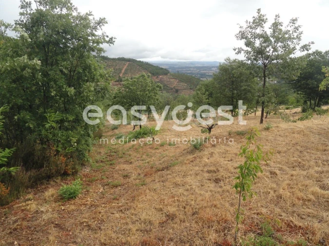 Terreno Agricola ou Rústico para Venda em Alcongosta Foto 8