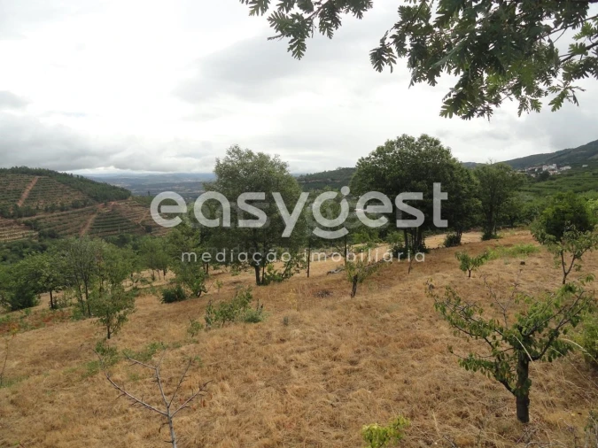 Terreno Agricola ou Rústico para Venda em Alcongosta Foto 9