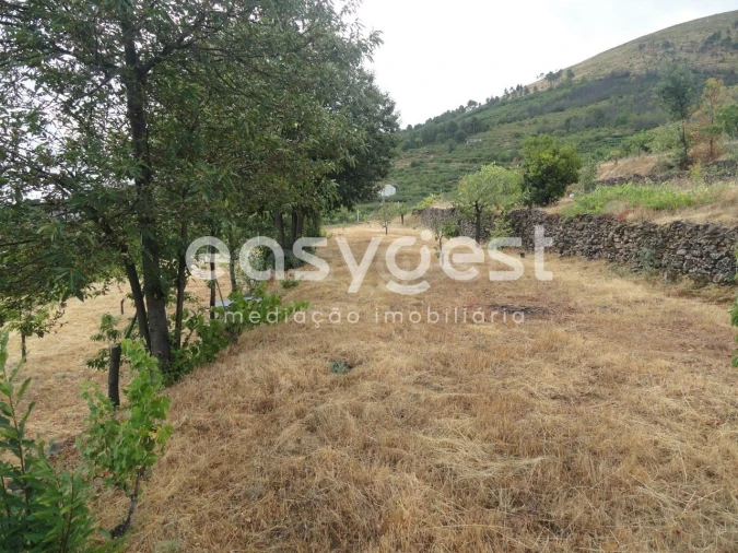 Terreno Agricola ou Rústico para Venda em Alcongosta Foto 10