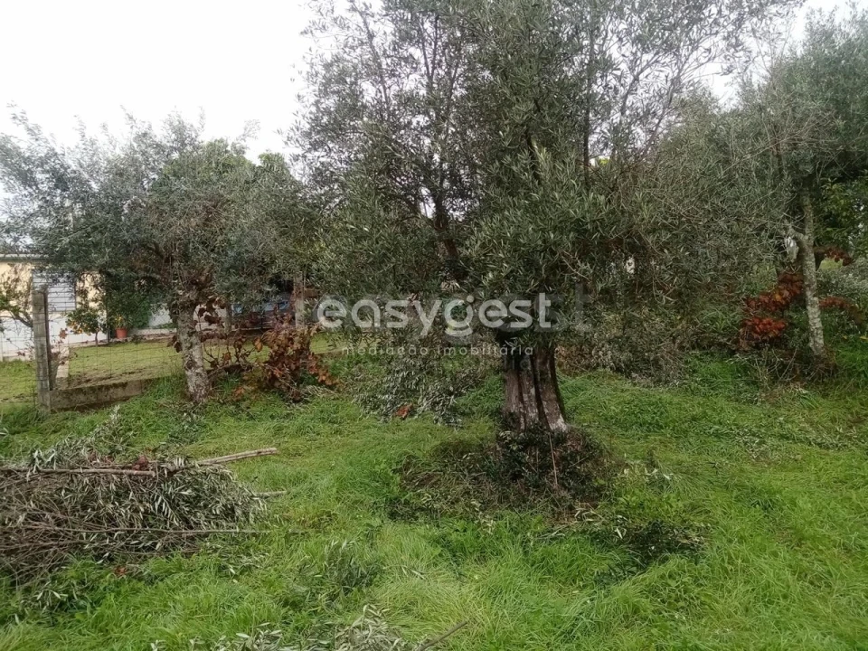Terreno Agricola ou Rústico para Venda em Póvoa de Rio de Moinhos e Cafede Foto 1