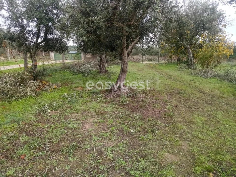 Terreno Agricola ou Rústico para Venda em Póvoa de Rio de Moinhos e Cafede Foto 14