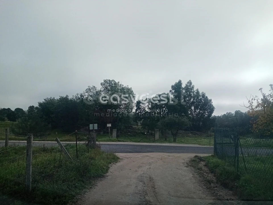Terreno Agricola ou Rústico para Venda em Póvoa de Rio de Moinhos e Cafede Foto 18