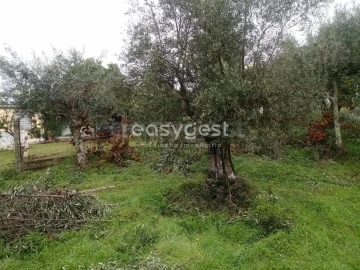 Terreno Agricola ou Rústico para Venda em Póvoa de Rio de Moinhos e Cafede