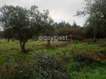 Terreno Agricola ou Rústico para Venda em Póvoa de Rio de Moinhos e Cafede