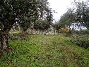 Terreno Agricola ou Rústico para Venda em Póvoa de Rio de Moinhos e Cafede
