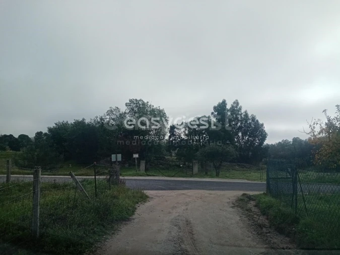 Terreno Agricola ou Rústico para Venda em Póvoa de Rio de Moinhos e Cafede Foto 18
