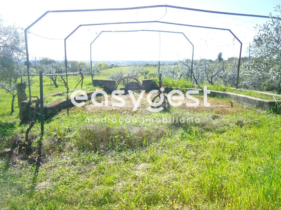 Terreno Agricola ou Rústico para Venda em Orca Foto 3